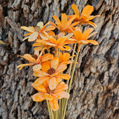 Handmade Daisies - Soft Orange