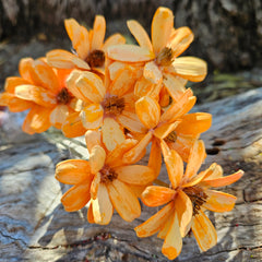 Handmade Daisies - Soft Orange
