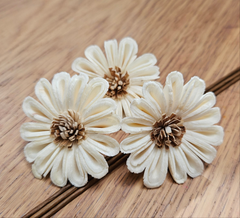 Handmade Flowers - Sola Flower - White Rounded Zinnia with Brown Centre - 5-6cm