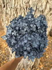 Hydrangea - Dark Denim Blue