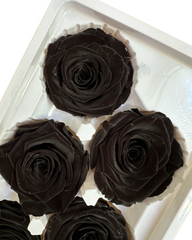 Roses Preserved - 6 pack - Ebony Black