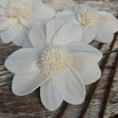 Handmade Flowers - Sola Flower White D - 9cm