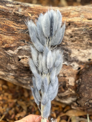 Bunny Tails/Pussy Tails - Soft Grey