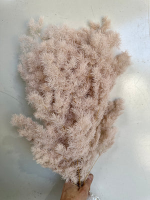 Ming Fern - Pale Nudie Pink Tones