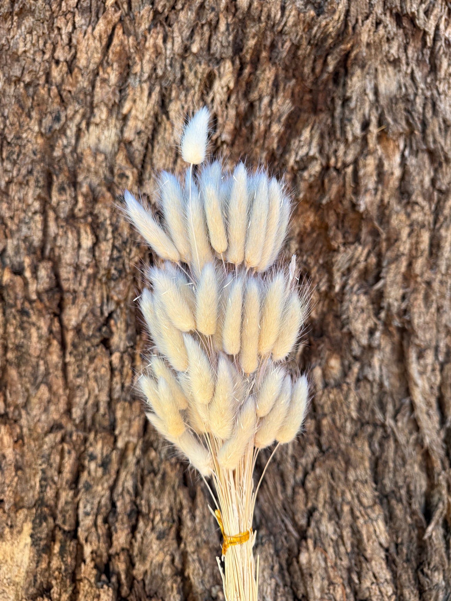 Bunny Tails/Pussy Tails -  Dusty Lilac Blue Ombre