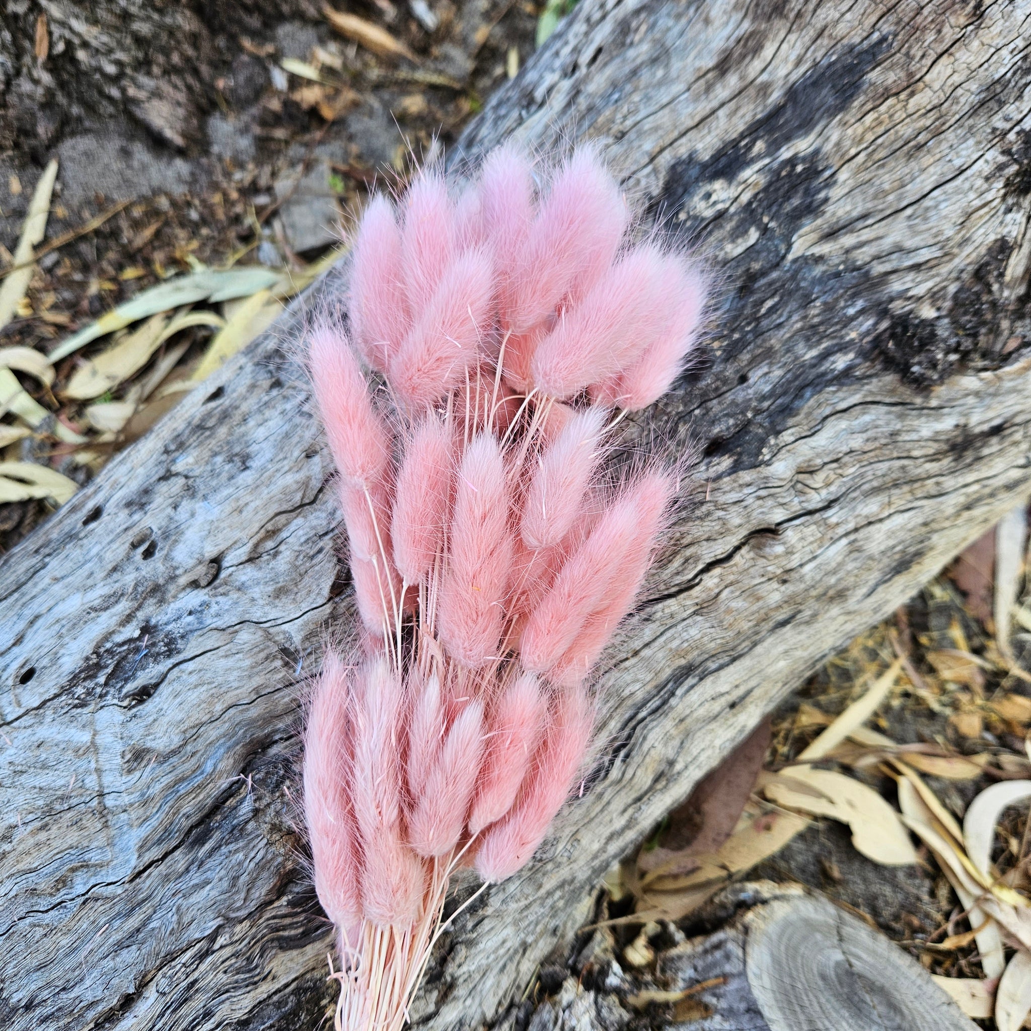 Bunny Tails/Pussy Tails -  Soft Pink