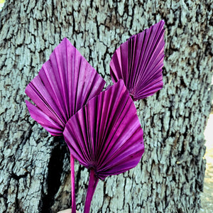 Palm - Thin Stem Spear - Magenta Purple - 1 Stem