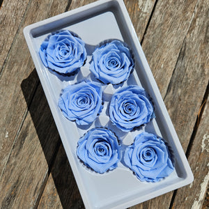 Roses Preserved - 6 pack - Pale Blue