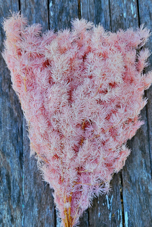 Ming Fern - Soft Pink