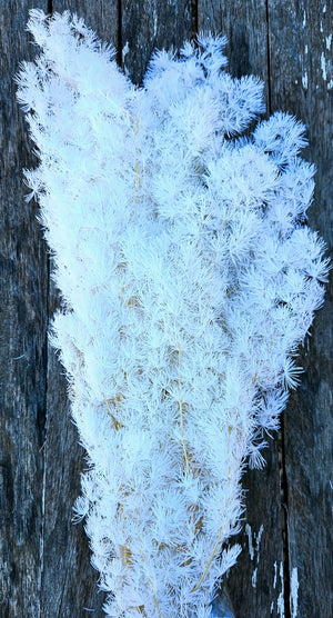 Ming Fern - White