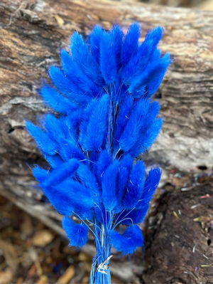 Bunny Tails/Pussy Tails -  Cobalt Blue