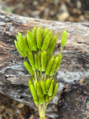 Bunny Tails/Pussy Tails - Dark Olive Green