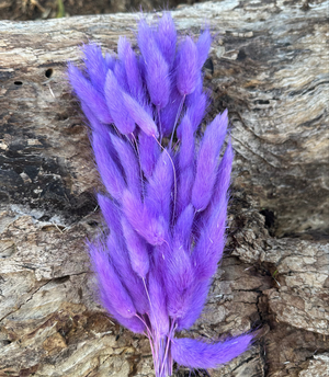 Bunny Tails/Pussy Tails - Violet Purple