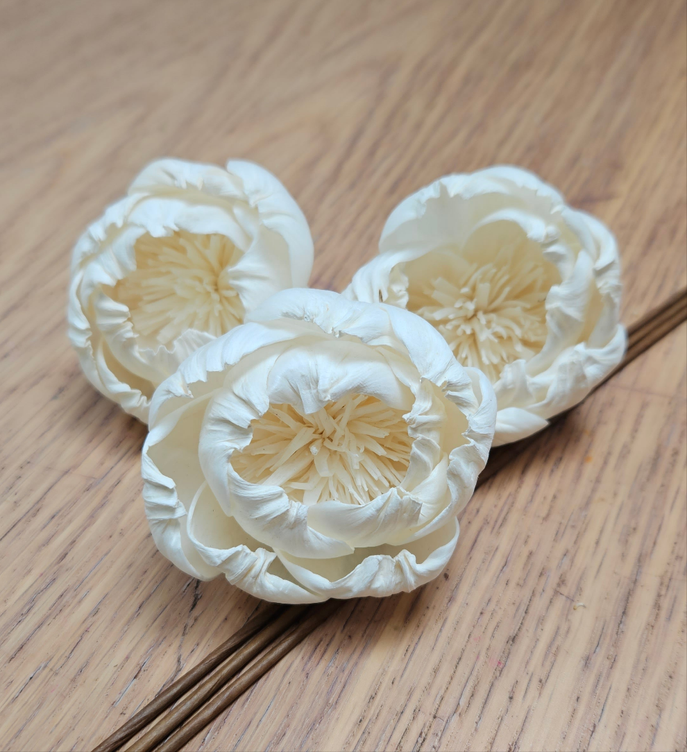 Handmade Flowers - Sola Flower - Off White Small Open Peony - 6/7cm
