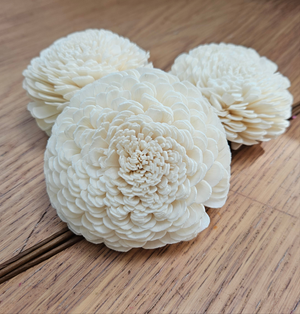 Handmade Flowers - Sola Flower Large White Carnation - 9cm