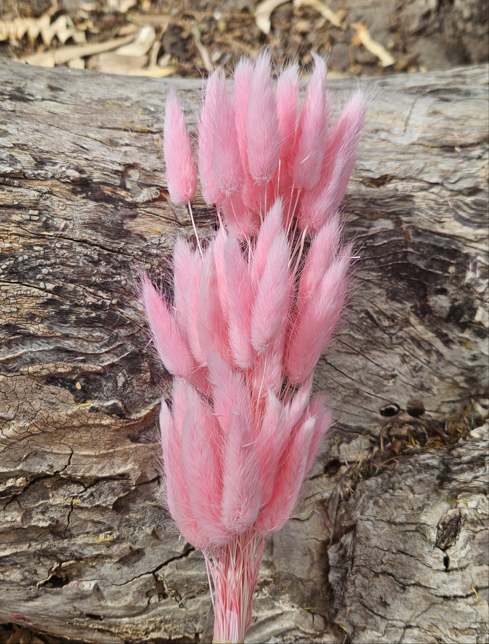 Bunny Tails/Pussy Tails - Soft Candy Pink