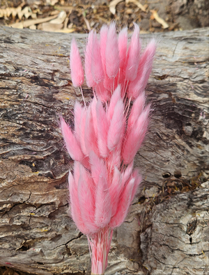 Bunny Tails/Pussy Tails - Soft Candy Pink