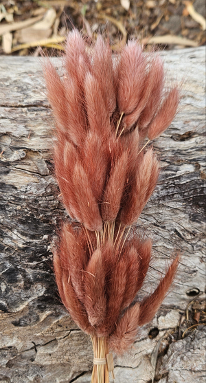 Bunny Tails/Pussy Tails -  Cinnamon Brown