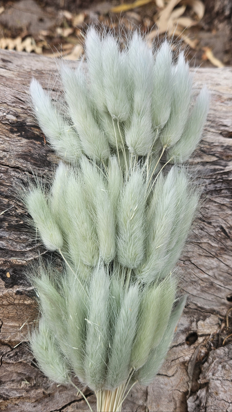 Bunny Tails/Pussy Tails - Sage Green