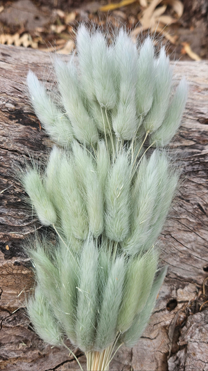 Bunny Tails/Pussy Tails - Sage Green