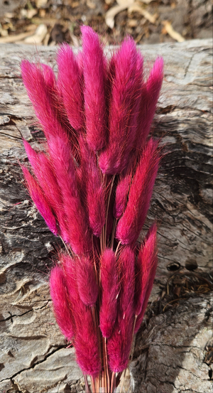Bunny Tails/Pussy Tails - Raspberry Pink