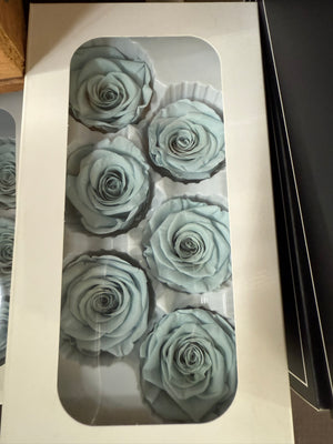 Clearance - Roses Preserved - 6 pack - faded blue