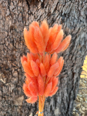 Clearance - Bunny Tails/Pussy Tails - Sunset Orange Tones