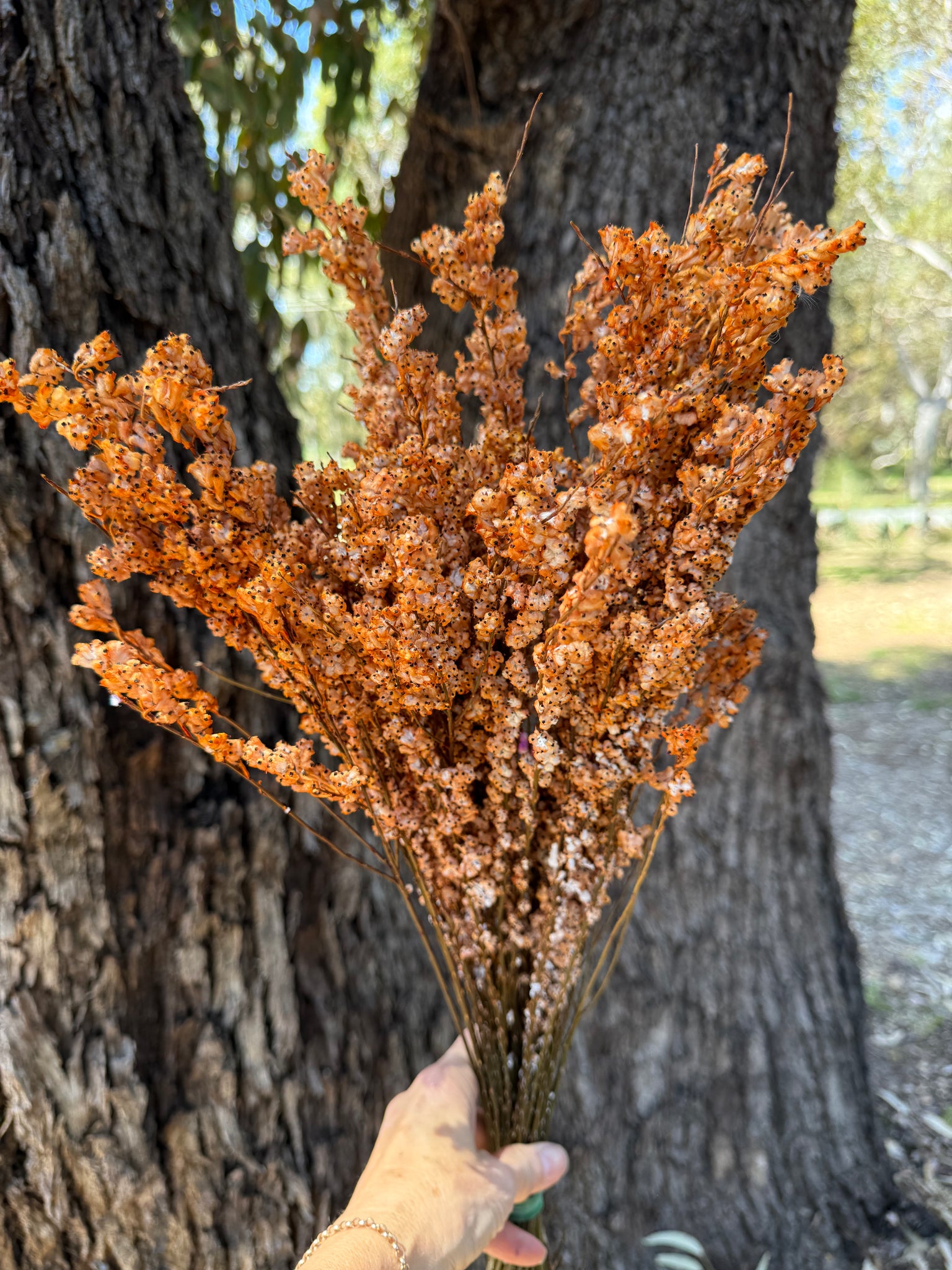 Feather Smoke - Preserved - Soft Autumn Orange