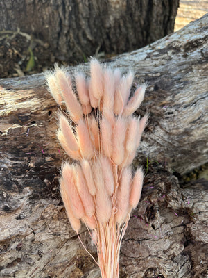 Bunny Tails/Pussy Tails - Soft Peachy Pink Tones