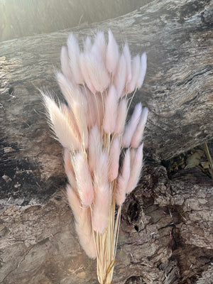 Bunny Tails/Pussy Tails - Palest Pink Tones