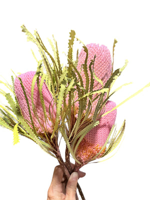 Banksia Hookeriana - Soft Pink - Regular Head & Stem
