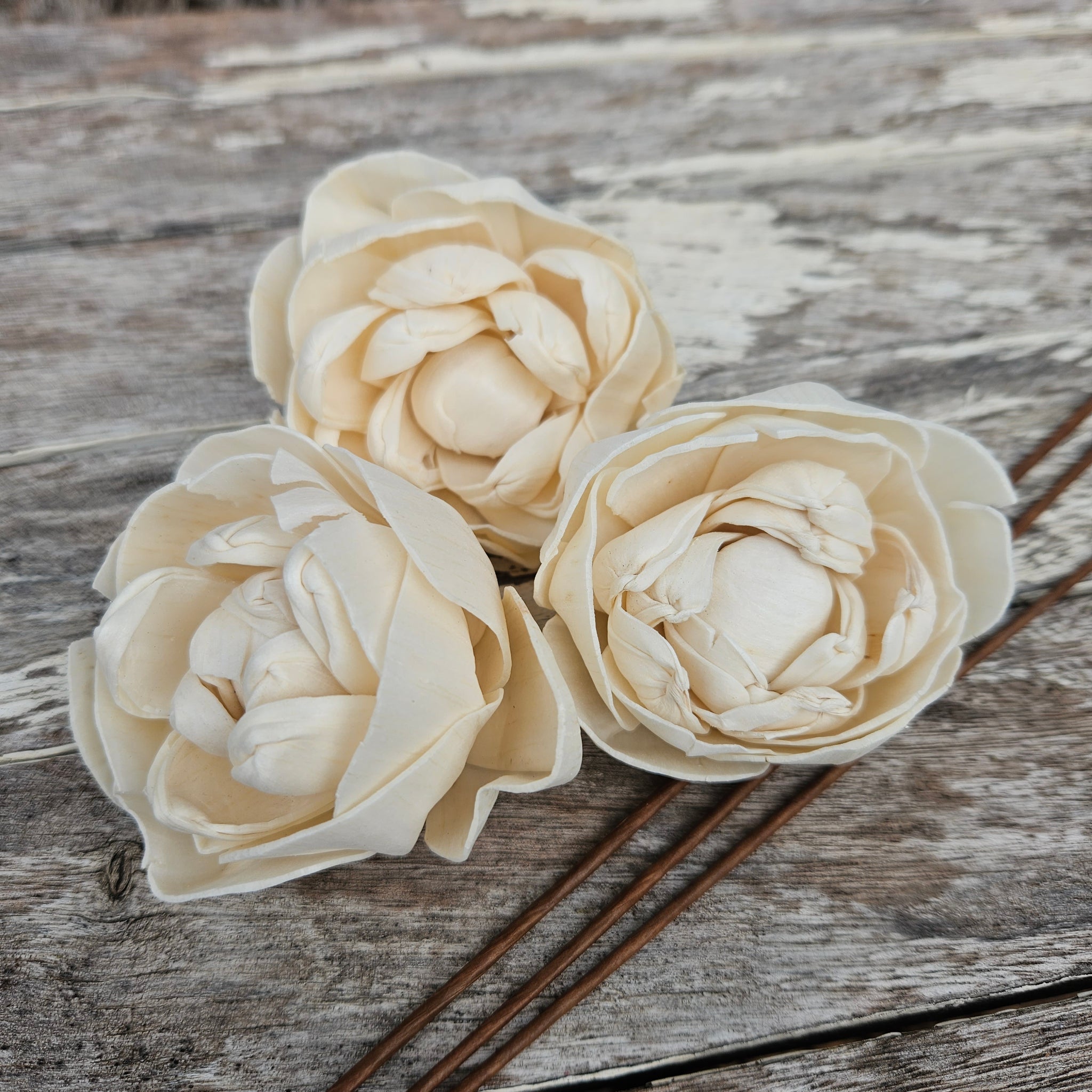 Handmade Flowers - Sola Flower Ivory Rose D - 7cm