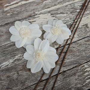 Handmade Flowers - Sola Flower White D  - 9cm