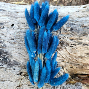 Bunny Tails/Pussy Tails - Navy Blue