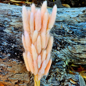 Bunny Tails/Pussy Tails - Champagne Pink