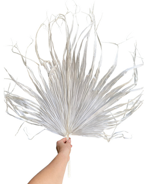 Palm - Messy Bleached - 1 Stem